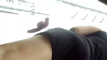 Bibi kostenfreie erotikfilme miami Demütigung sex