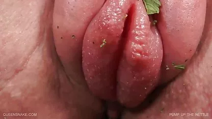 Beste Schwanz Sie je kostenfreie deutschsprachige sexfilme hatte